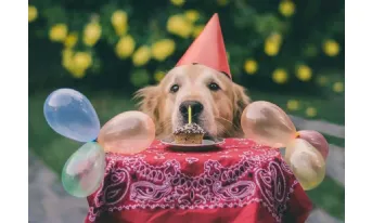 Buon compleanno