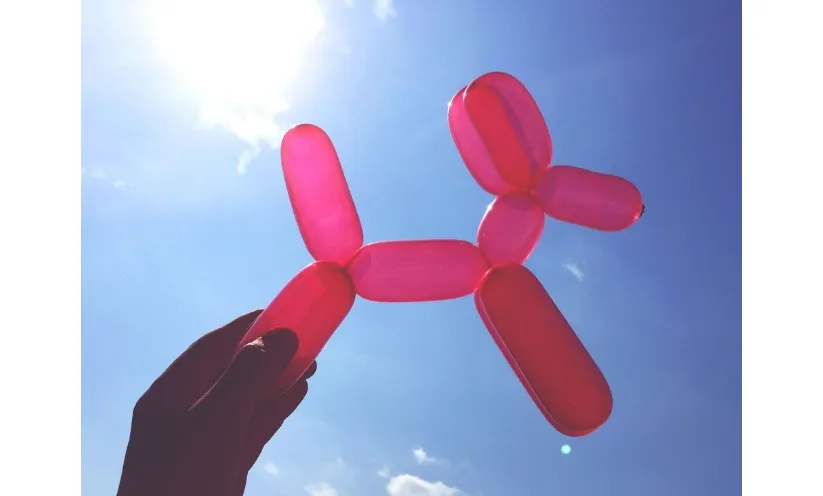 cagnolino di palloncini