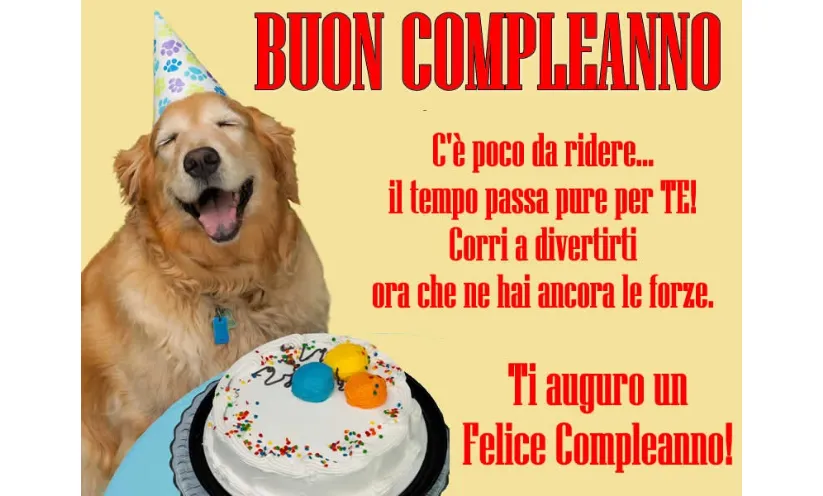 Auguri di buon compleanno divertenti per un amica